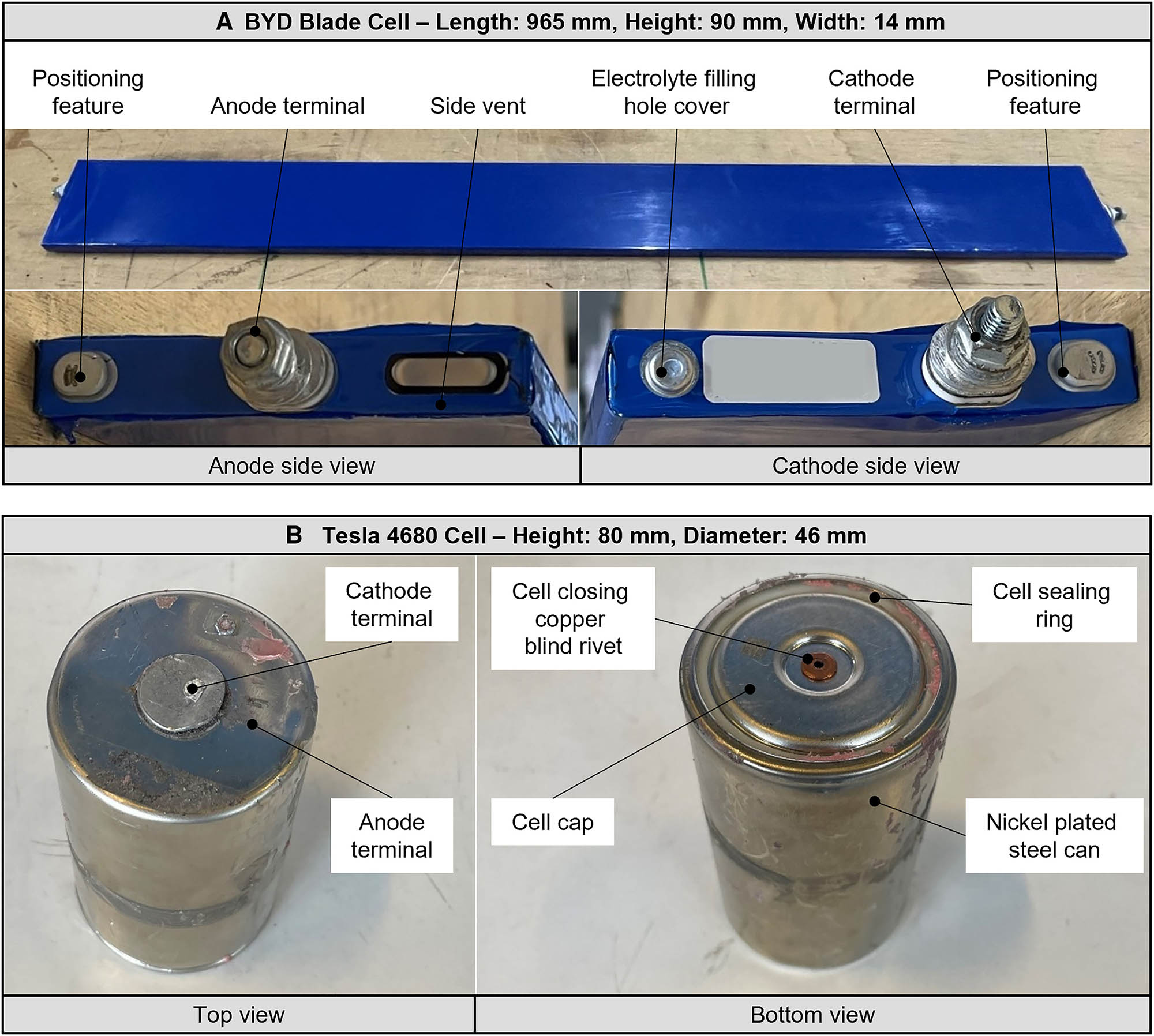 Comparaison BateacoCches Cellules Electricos Tesla Byd 3 Comparaison BateacoCches Cellules Electricos Tesla Byd 3
