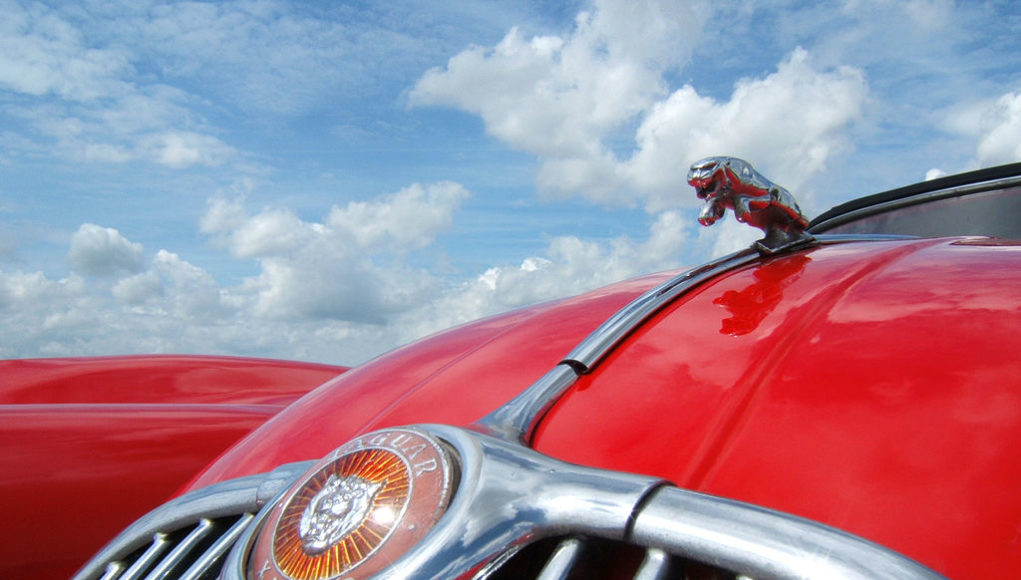 Jaguar Une voiture de la marque Jaguar
