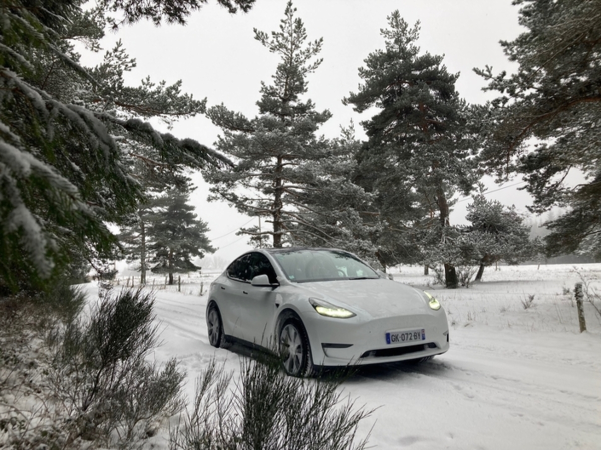 Tesla Model Y