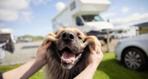 Pas besoin de permis spécial : Découvrez cette règle unique pour les camping-cars en France Règle unique pour les camping-cars en France