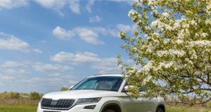 Skoda : une voiture sympa, mais pourquoi reste-t-elle ignorée ?