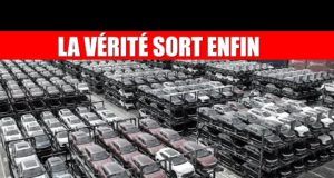 Electric Gate : quand l’utopie électrique se heurte à la réalité