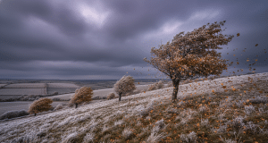 Un automne glacial approche-t-il déjà le pays et fait sensation par sa brutalité météo découvrez si un automne glacial s'annonce dans le pays et comment sa brutalité météo fait sensation auprès des habitants et des météorologues.