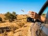 Amende jet mégot Espagne : 500 € et 6 points de retrait Une main lance un mégot de cigarette allumé par la fenêtre d'une voiture dans un paysage aride.