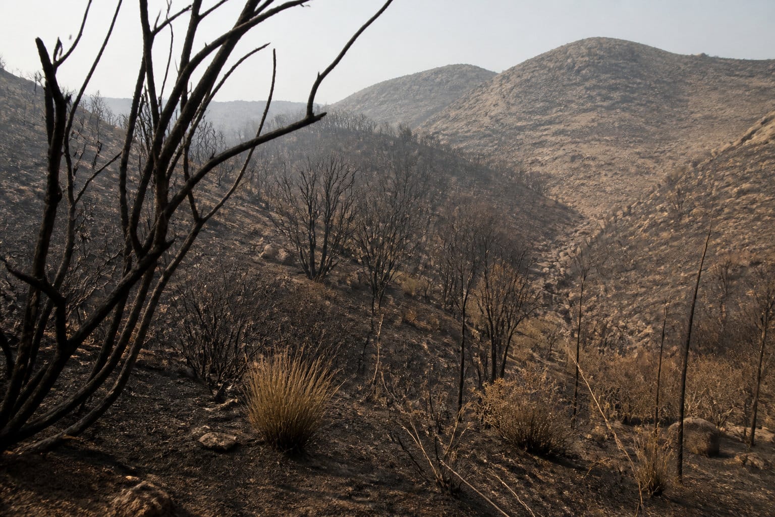 Pourquoi une telle sévérité ? La lutte contre les incendies de forêt